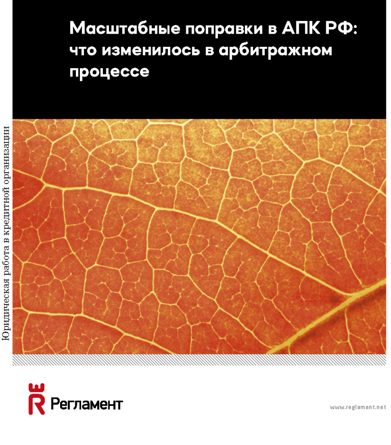 Масштабные поправки в АПК РФ: что изменилось в арбитражном процессе